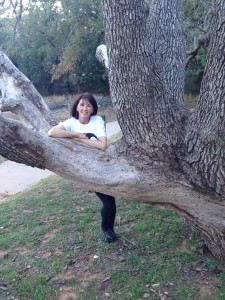 hug a tree hcv cirrhosis