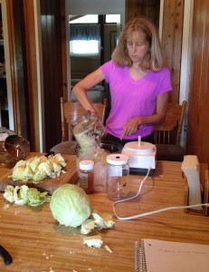 Cabbage ferment probiotic