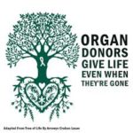 my organ donor liver transplant ihelpc.com