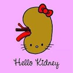 liver loving diet low sodium kidney