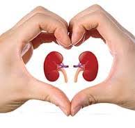 Taking Care of Kidney ihelpc.com hepatitis
