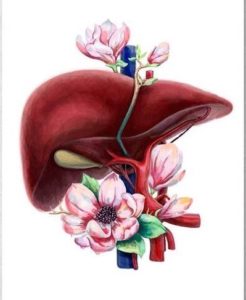 ihelpc.com karen hoyt medications for liver disease
