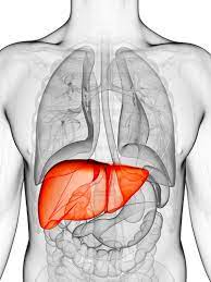 ihelpc.com one liver