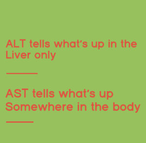 How to Lower Liver Enzymes ALT and AST karen hoyt